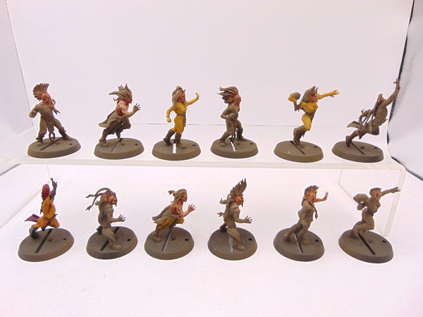 Wood Elf Blood Bowl Team