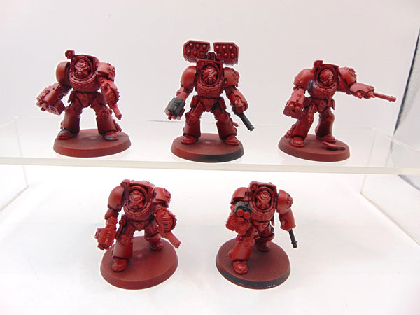 Terminator Squad