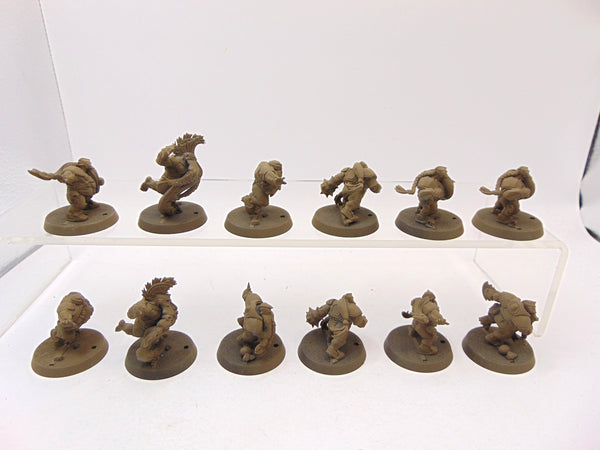 Dwarf Blood Bowl Team