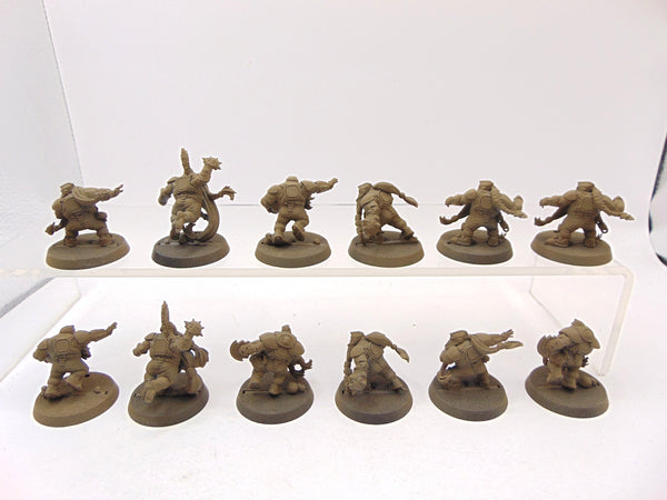 Dwarf Blood Bowl Team