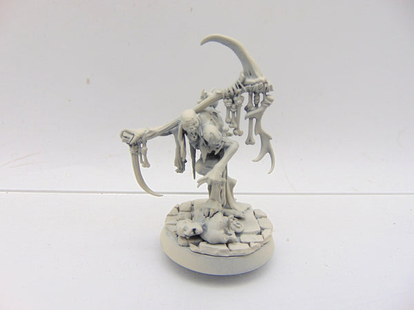 Marrowscroll Herald