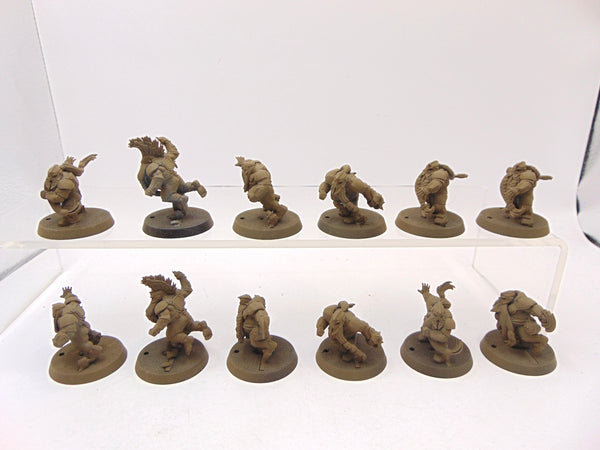 Dwarf Blood Bowl Team