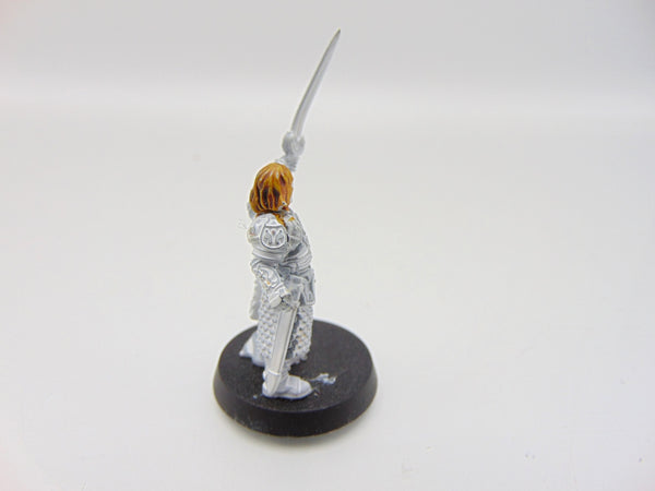 Theoden King of Rohan