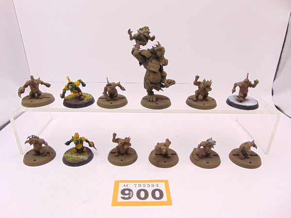 Goblin Blood Bowl Team
