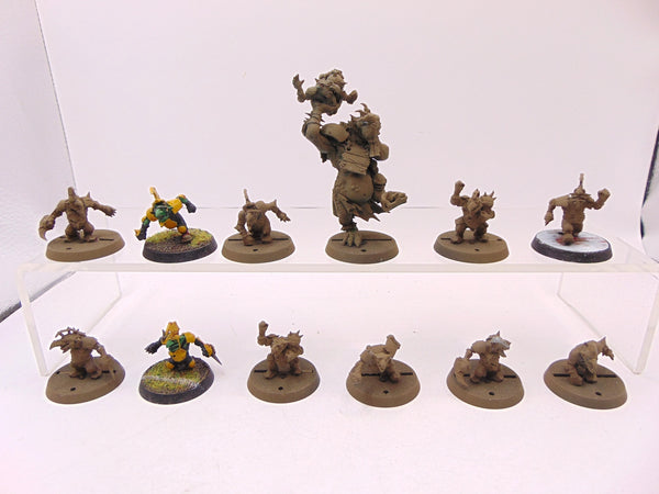 Goblin Blood Bowl Team