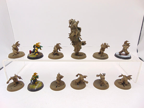 Goblin Blood Bowl Team
