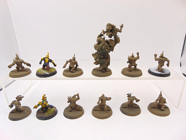 Goblin Blood Bowl Team
