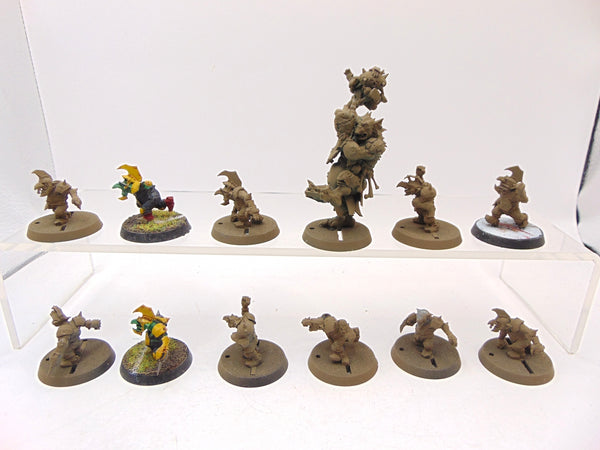 Goblin Blood Bowl Team