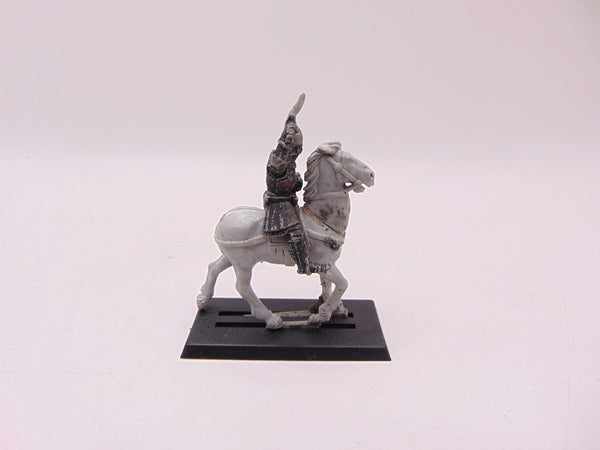 Bretonnian Knight