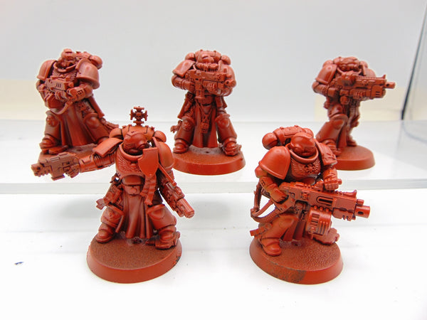 Sternguard Veterans