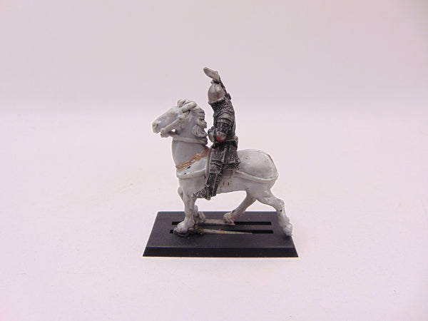 Bretonnian Knight