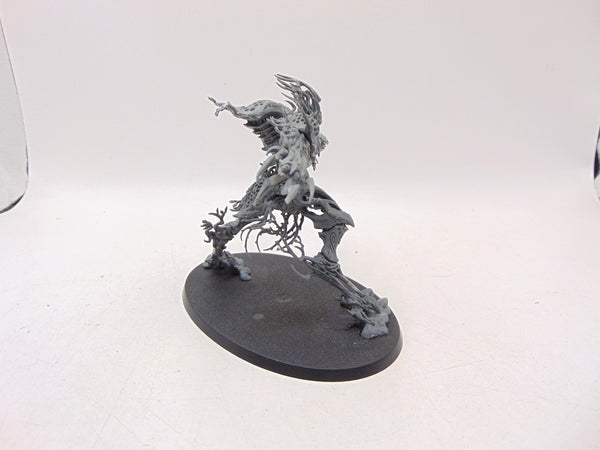 Drycha Hamadreth