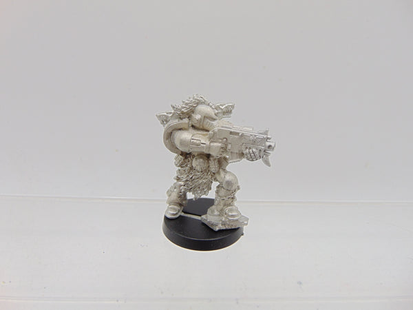 Limited Edition Space Wolves Veteran