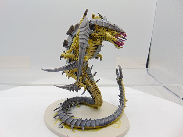 Trygon