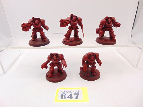 Terminator Squad