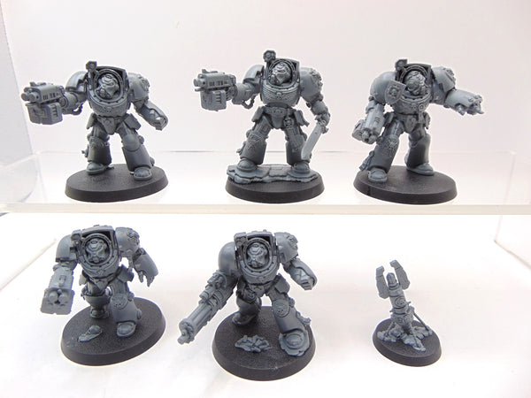 Terminator Squad