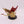 Winged Tyranid Prime