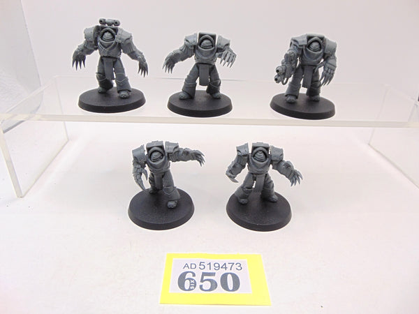Cataphractii Terminator Squad