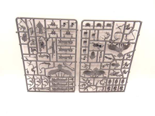 Vanguard Raptors & Aetherwings