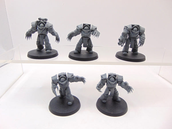 Cataphractii Terminator Squad
