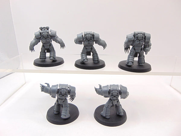 Cataphractii Terminator Squad