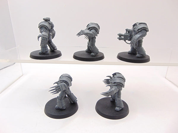 Cataphractii Terminator Squad