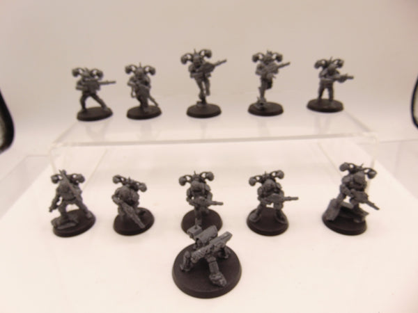 Tempestus Aquilons