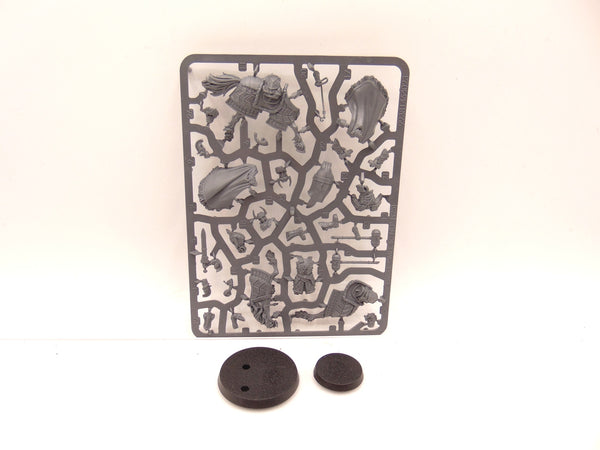 Helm Hammerhand, King of Rohan