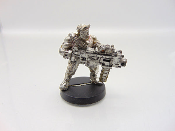 Ox