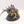 Maleceptor