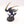Lictor