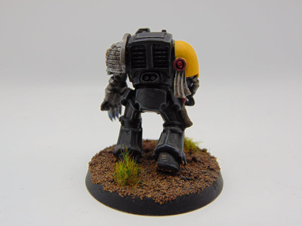 Deathwatch Terminator