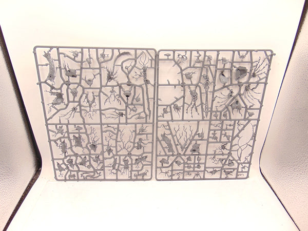 Treelord / Treelord Ancient