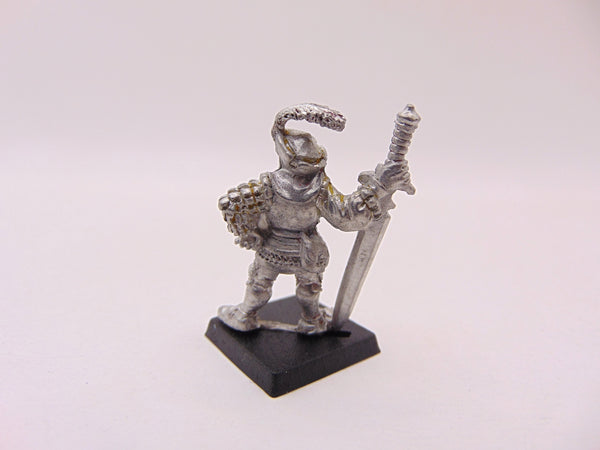 MM60 - Fighter / Foot Knight