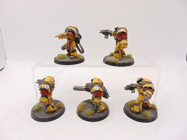 Cataphractii Terminator Squad