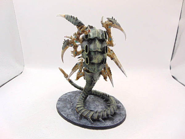 Trygon