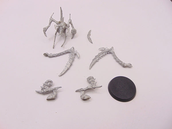Lictor