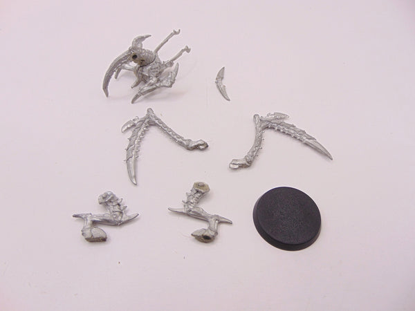 Lictor