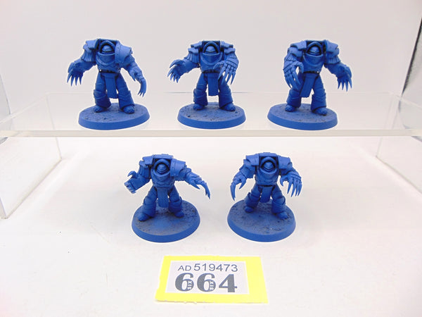 Cataphractii Terminator Squad