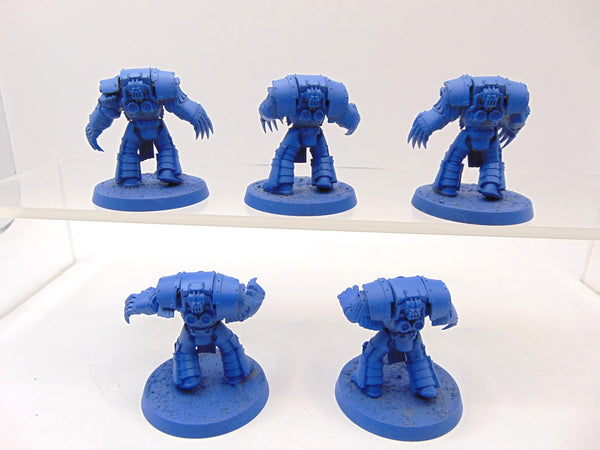 Cataphractii Terminator Squad
