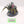 Maleceptor