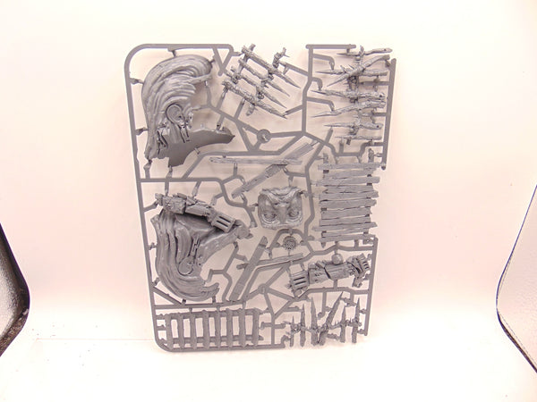 Sigmarite Statue Head