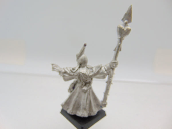 Dark Elf Sorcerer