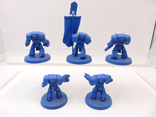 Cataphractii Terminator Squad