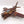 Dakkajet