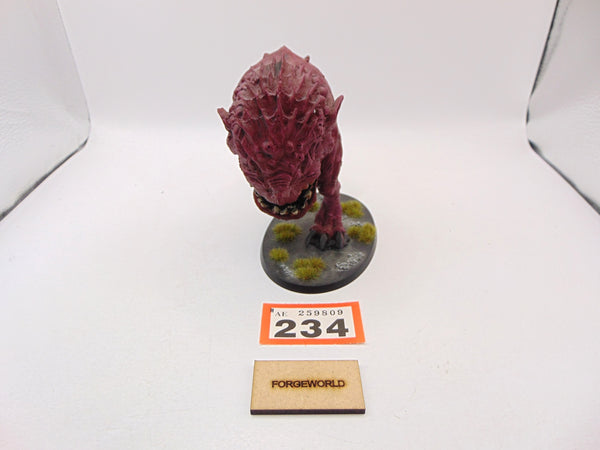 Colossal Squig