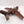 Dakkajet