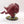 Colossal Squig