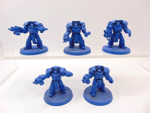 Cataphractii Terminator Squad