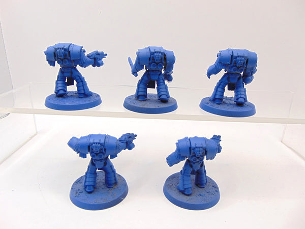 Cataphractii Terminator Squad